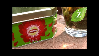 Zielony Lipton CYTRYSOWY