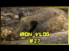 Dzika depopulacja dzika - Iron Vlog #27