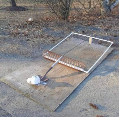 Człowiek nie sznurek, wszystko wytrzyma