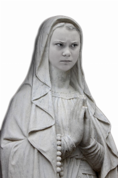 Kup pan żółwia!