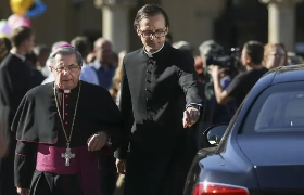 Kler delikatnie liźnięty