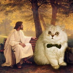 Bóg i koty