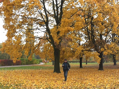 Prześladowania