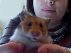 Becia
