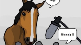Walić czy nie walić? Wielka debata o koniach.